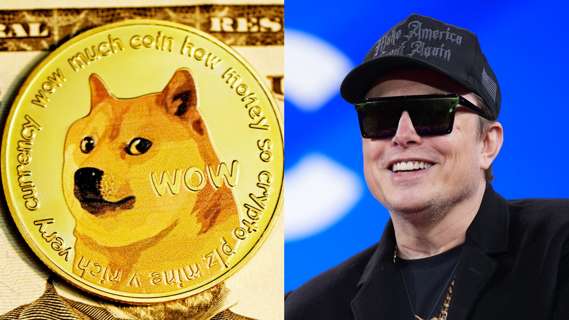 Elon Musk's favourite cryptocurrency completes 'revolutionary' takeover of Italian side as House of Doge CEO says venture goes 'far beyond football' - but club have just been deducted 13 points
